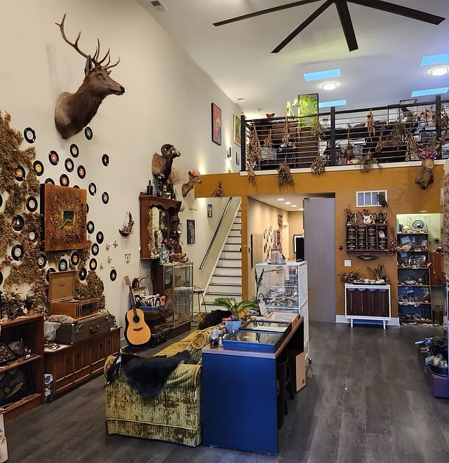 A Hidden Chicago Gem: Visit The Insect Asylum