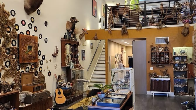 A Hidden Chicago Gem: Visit The Insect Asylum